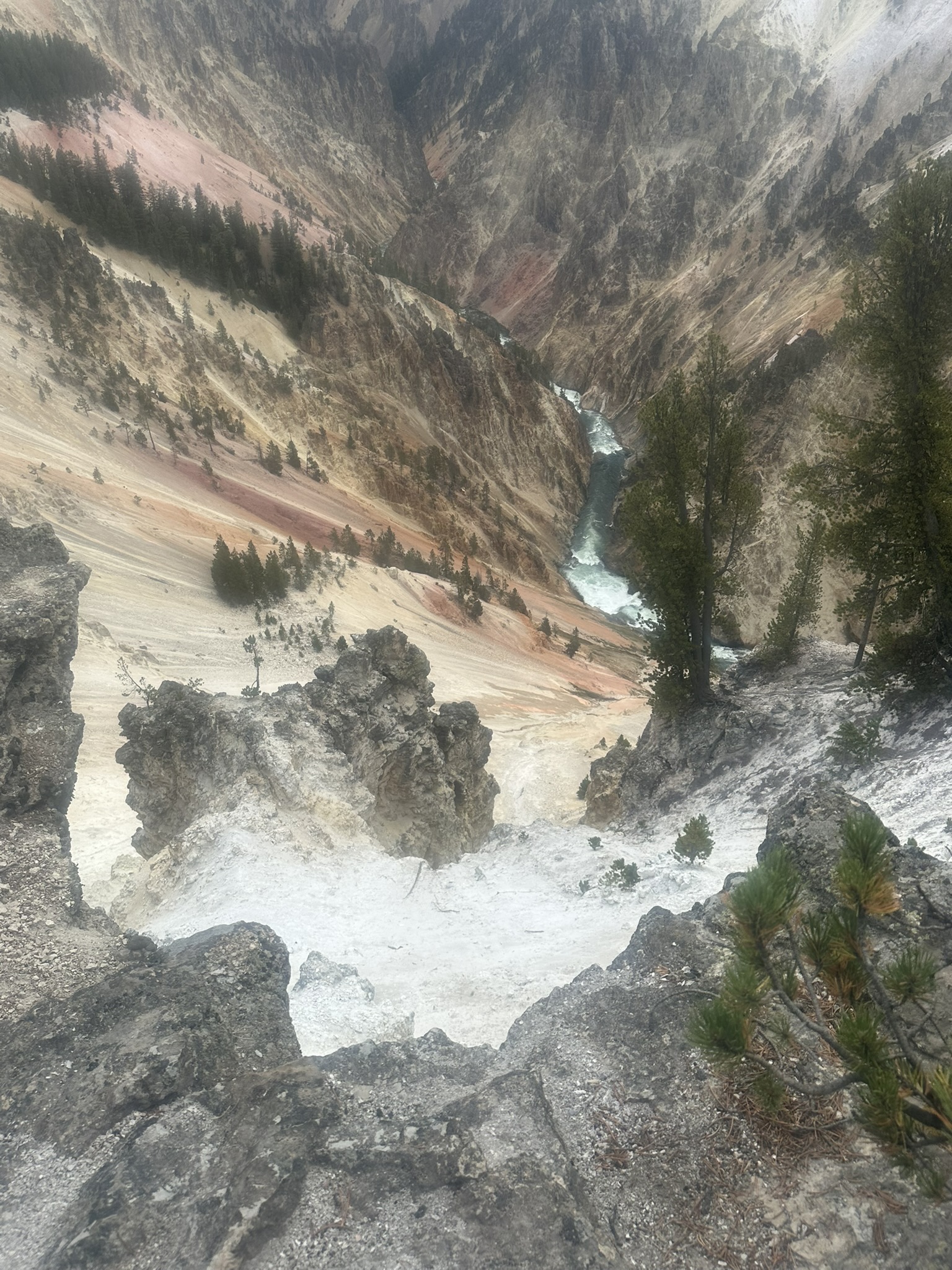 Yellowstone And Grand Teton National Parks - Image 649